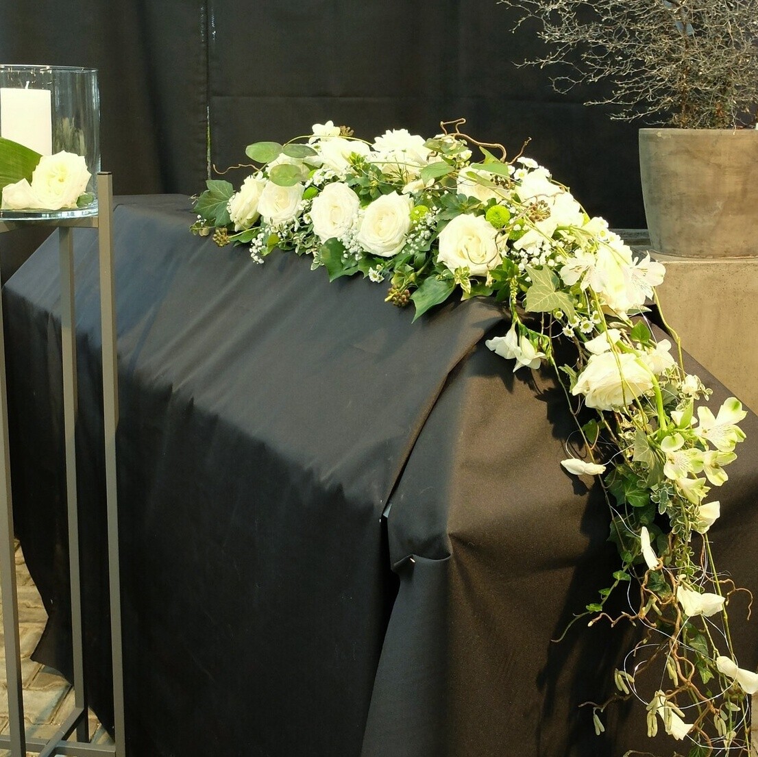 schmales, vorne abfließendes Blütenband