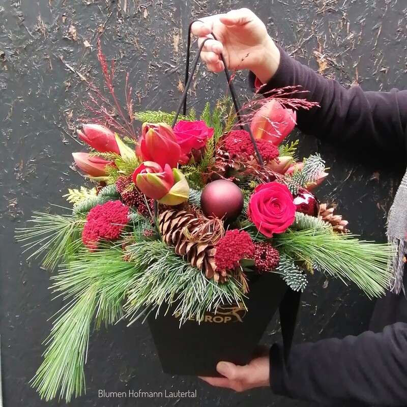 Strauß rote Amaryllis