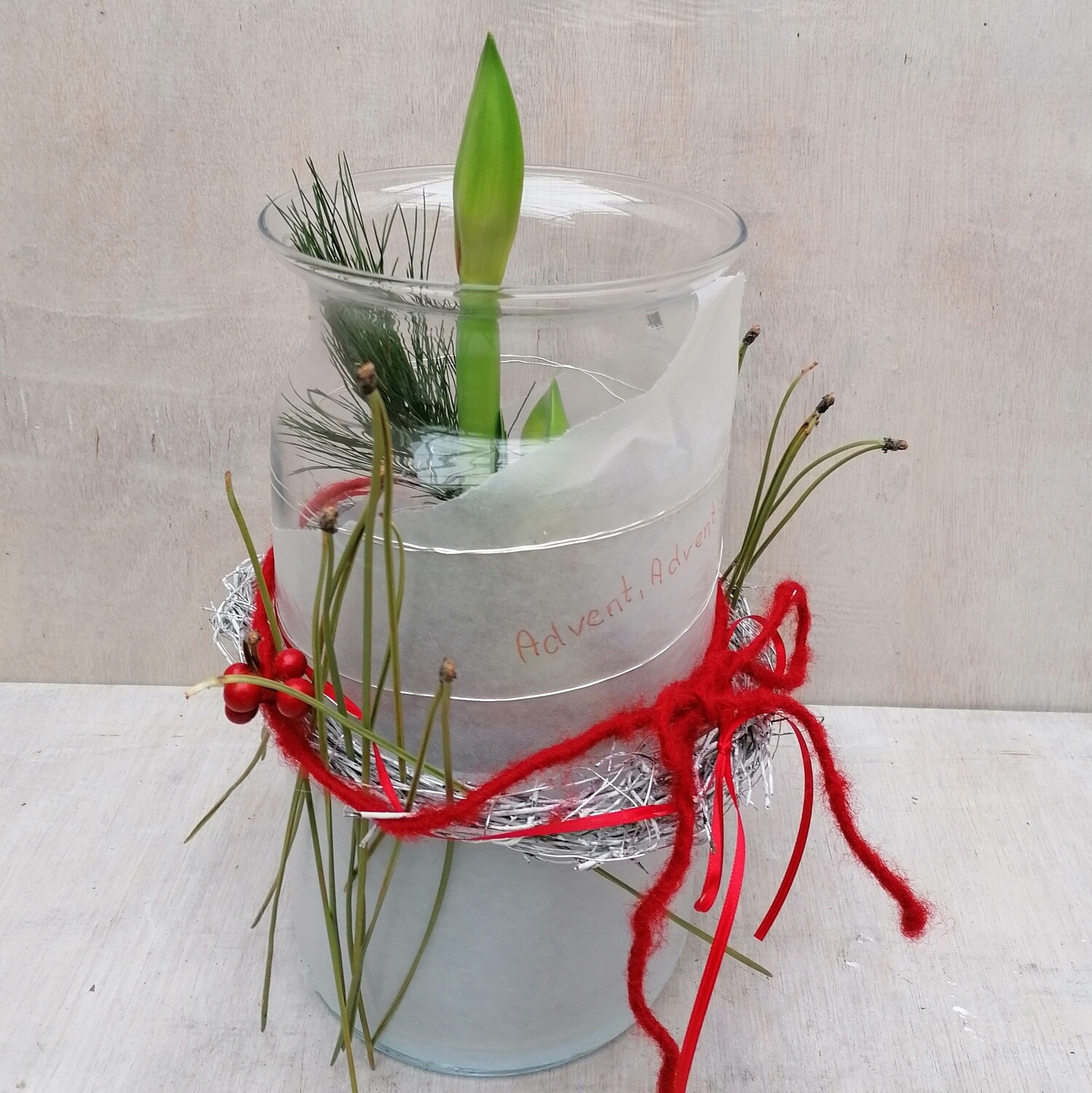 Amaryllis im Glas rot