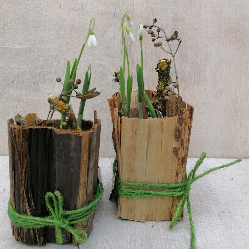 Schneeglöckchenzauber