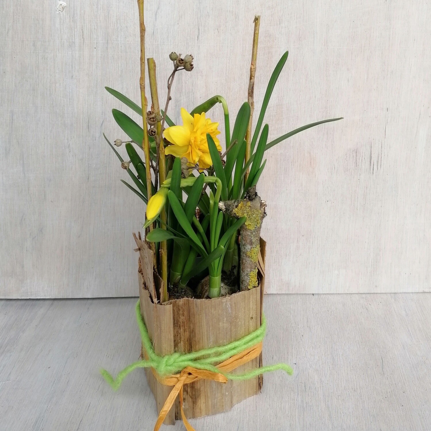 Osterglockengärtchen