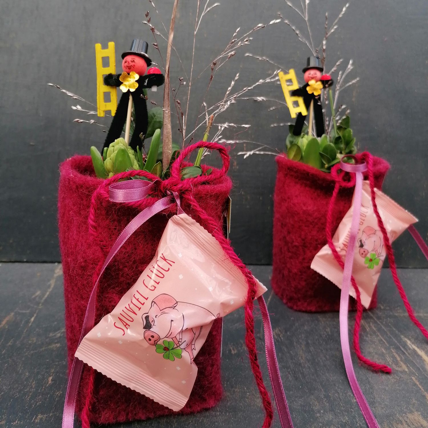 Hyazinthe mit Glückskeks