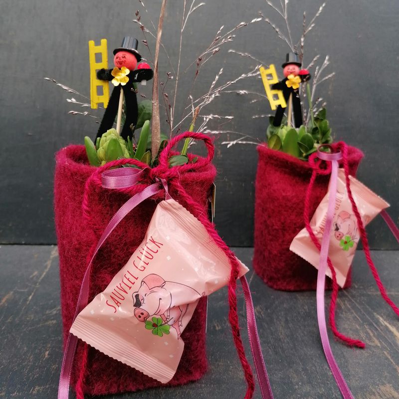 Hyazinthe mit Glückskeks