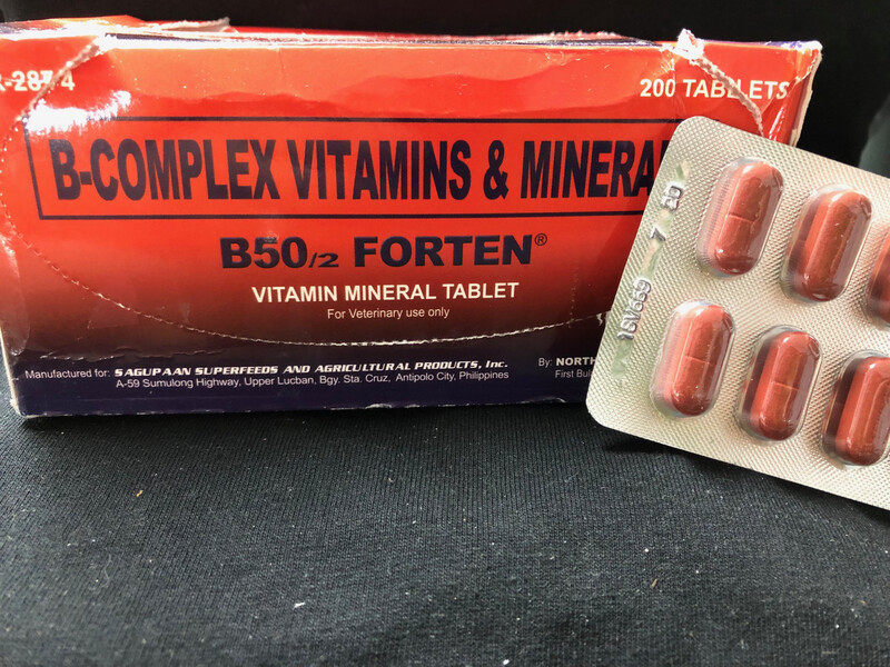 B50/Forten Box (200)