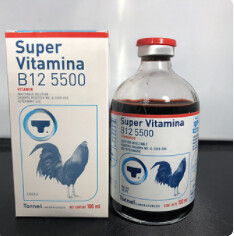 Super Vitamina 5500 B12 100ml
