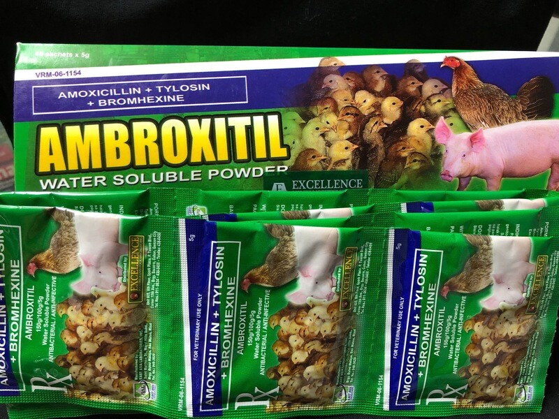 POULTRY GAMEFOWL ANTI BIOTICS
