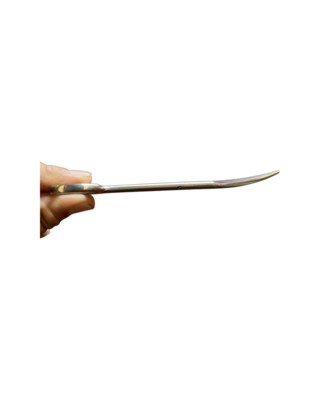 Scissors - Curve Sharp/Blunt