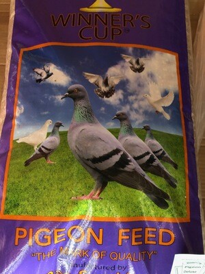 PIGEON FEED