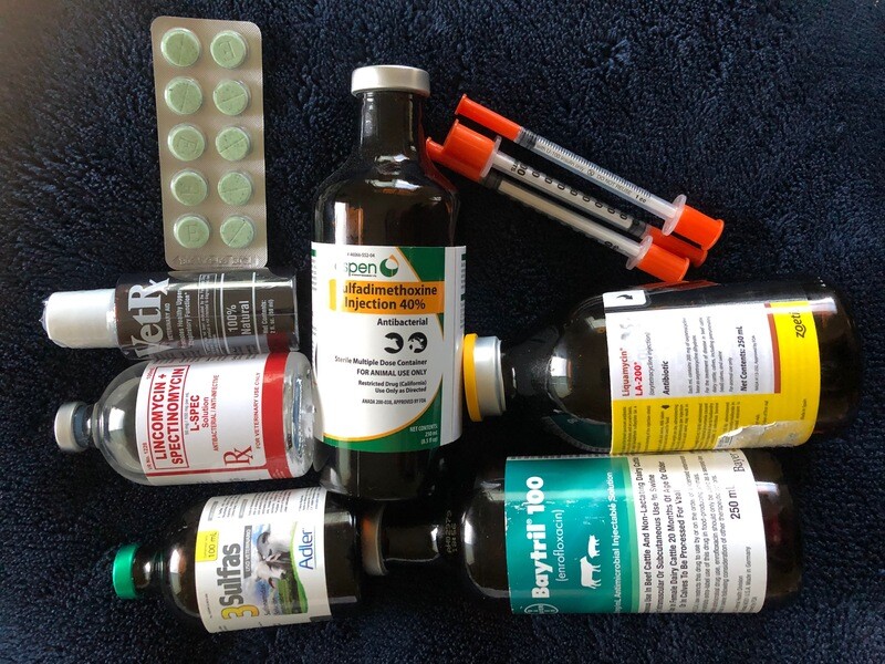 POULTRY GAMEFOWL INJECTABLES