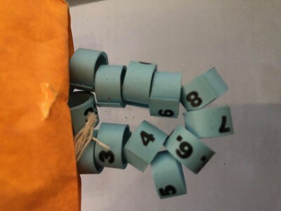 LEG BANDS