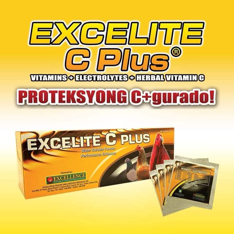 Excelite C Plus Box 5g (48)