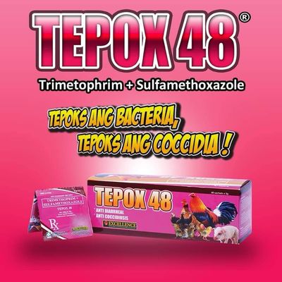 Tepox48 Box