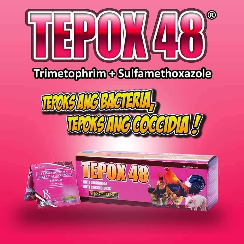 Tepox48 Box
