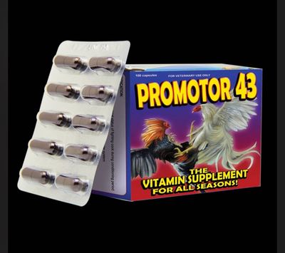 Promoter43 Packet (10)