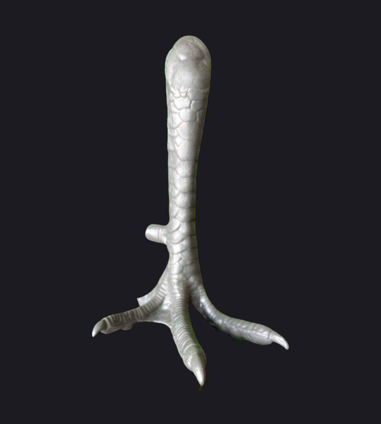 Dummy Chicken Foot