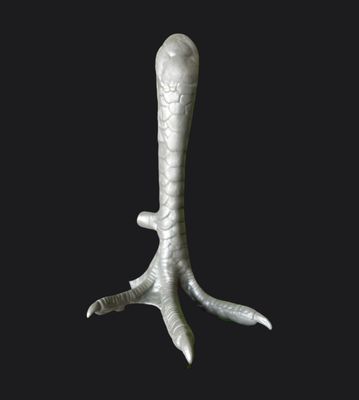 Dummy Chicken Foot