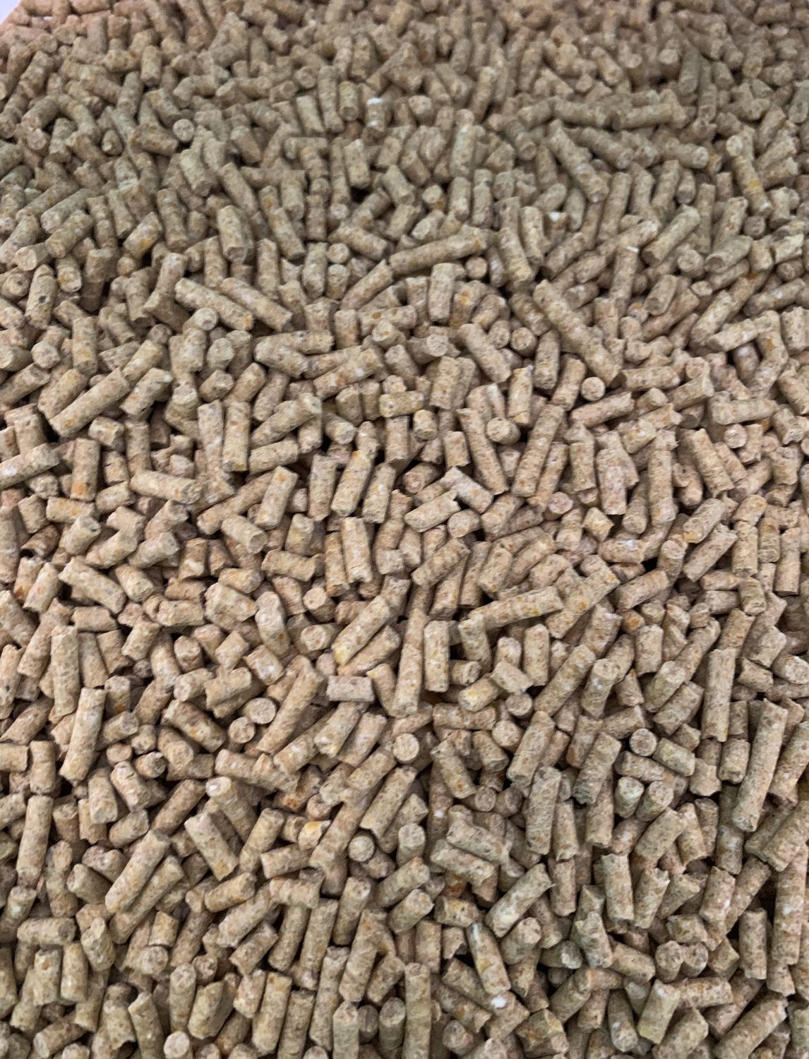 PELLET PROBIOTIC MINI 28% 40#