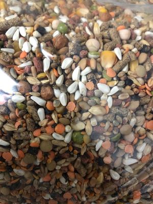 JOSE GUERRERO GAMEFOWL 19.5% 50#