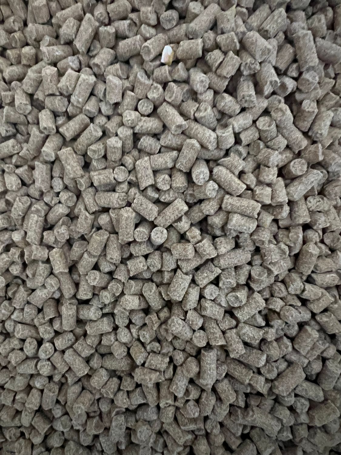 PELLET LAYER 16% 50#