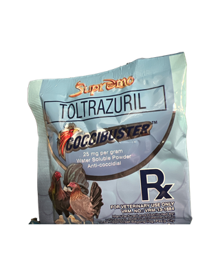 CocciBuster Sachet 5g (single)