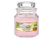Yankee Candle Sunny Daydream Small Jar Retail Box No warrant