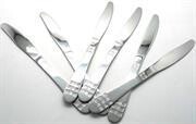 Casey Catering 6 Piece Stainless Steel Dinner Knives Set Wit