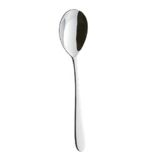 Serving Spoon (1)