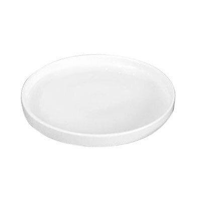 Studio Plate - 28cm (12)