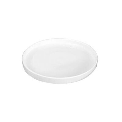Studio Plate - 23.5cm (24)
