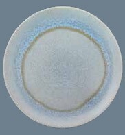 Coupe Plates 29CM