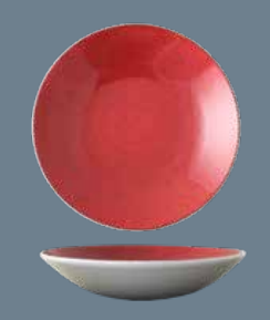 Coupe Bowl 24.5cm