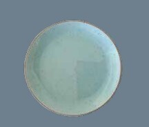 Coupe Plate 27cm