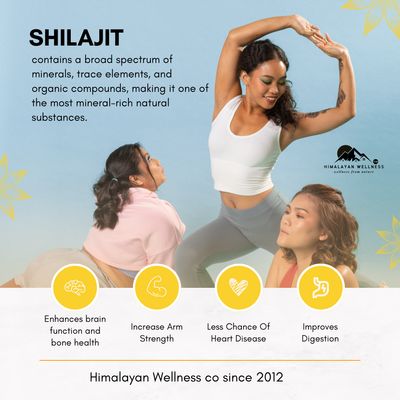Pure Himalayan Resin in Premium Himalayan Fresh Shilajit Pakistan