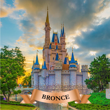 Magic World Bronce (PAGO ÚNICO ANUAL)