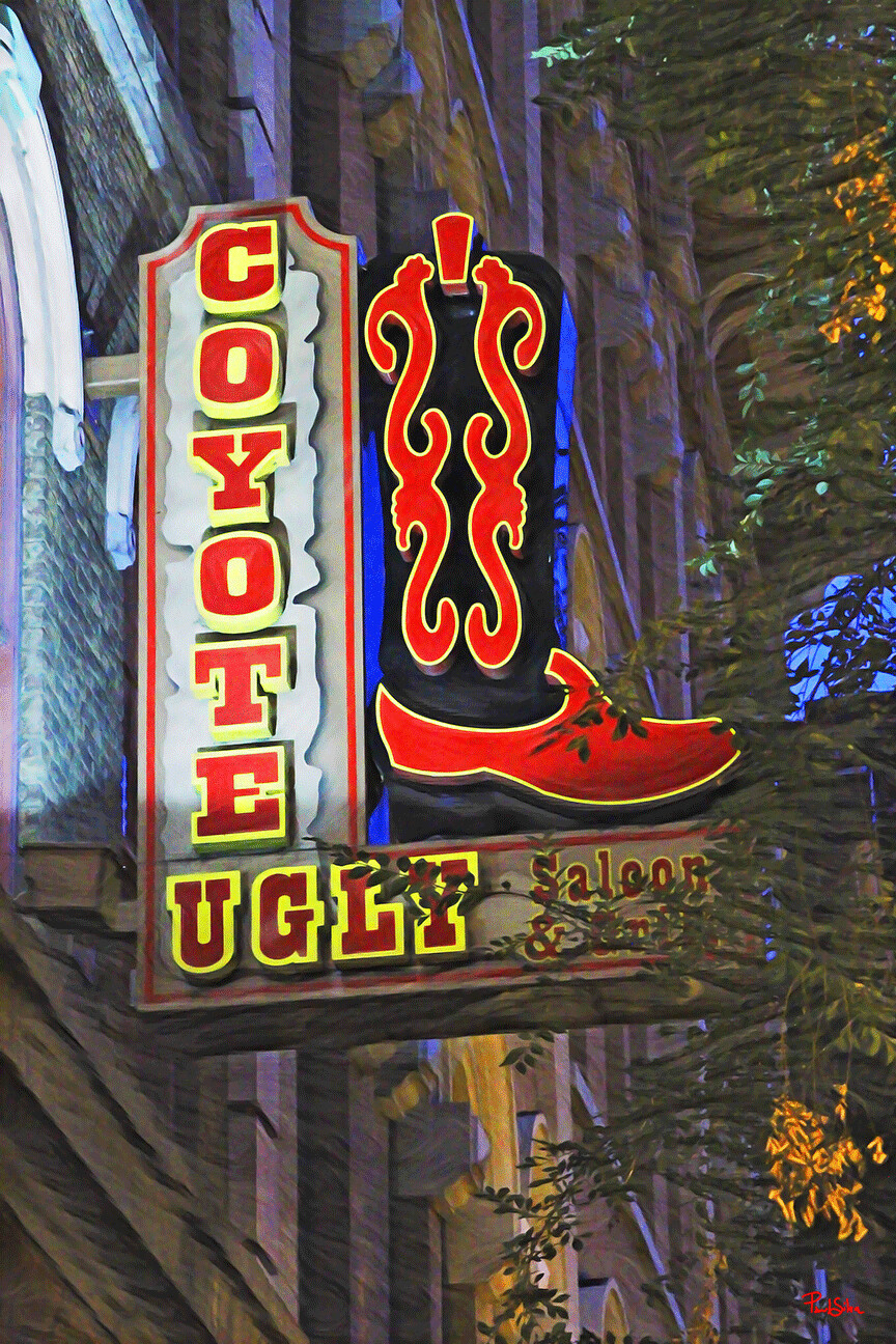 "Coyote Ugly" by Paul Silva