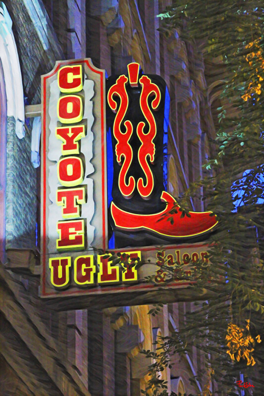 "Coyote Ugly" by Paul Silva