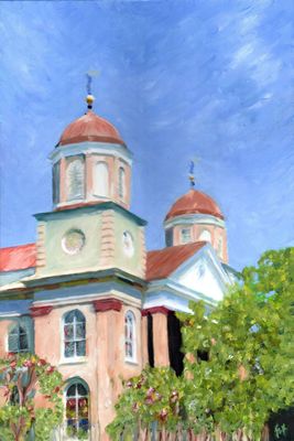 Fox Oils and Photography