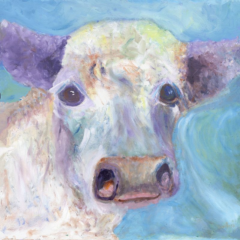 "Colorful Cow" by Don Rose