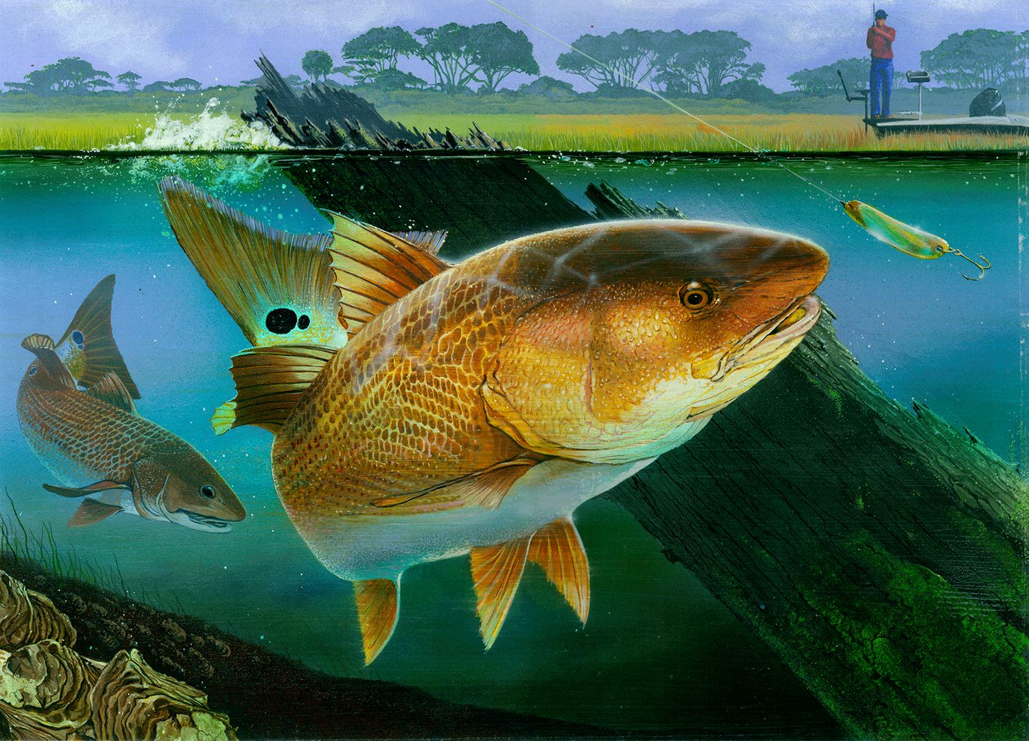 "Redfish" by Richard F. Rose