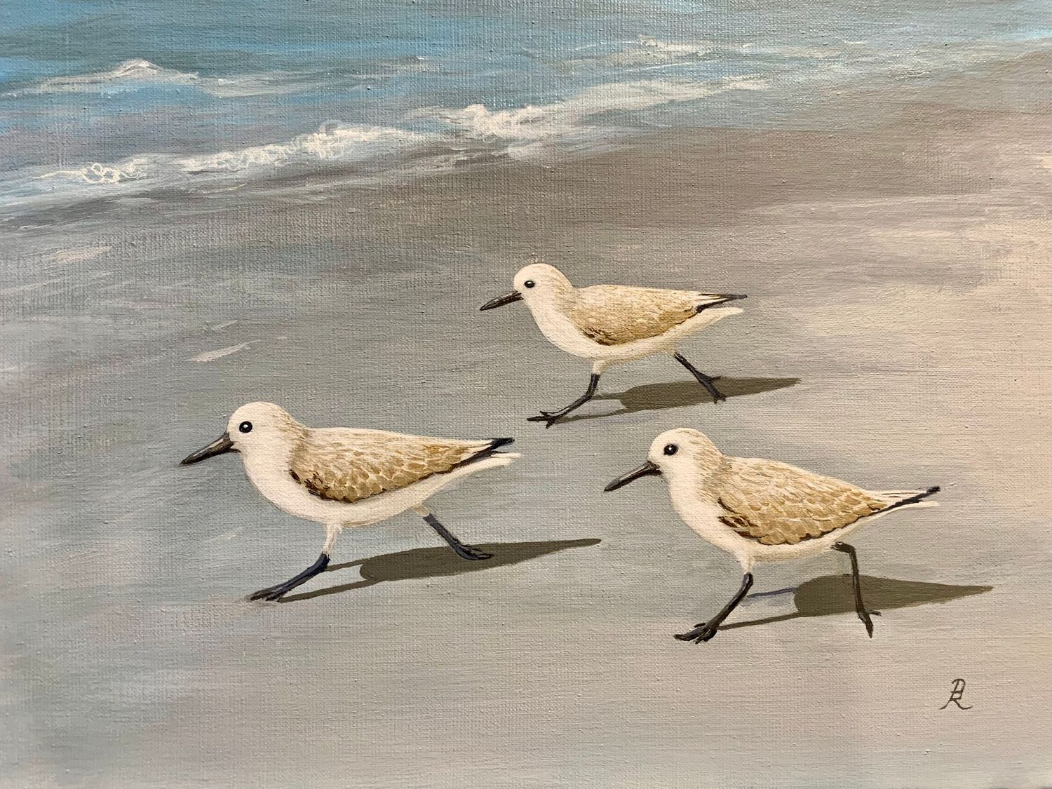 "Sanderling Race" by Denise Robinson