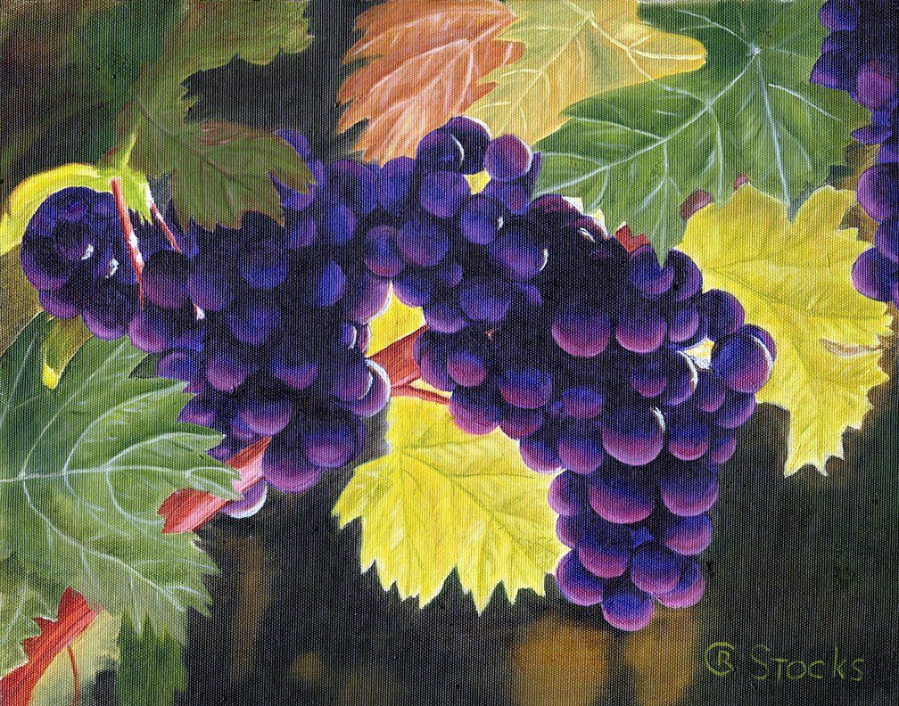 "It's a Grape Life" by Charles Stocks