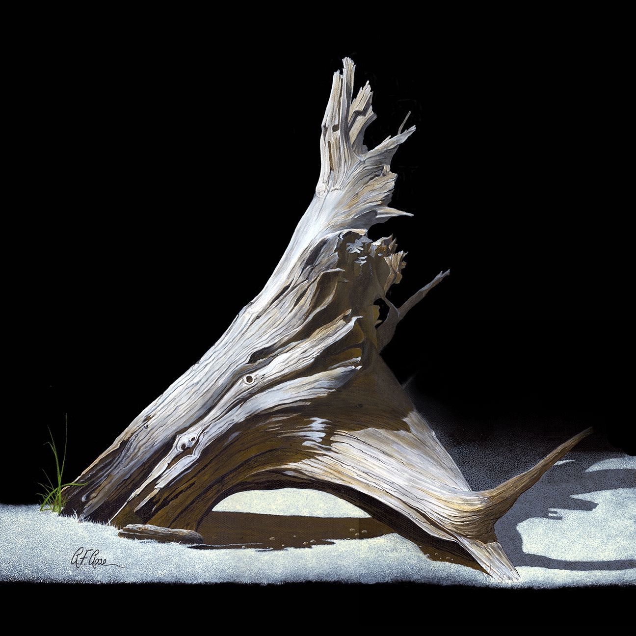 "Driftwood" by Richard F. Rose