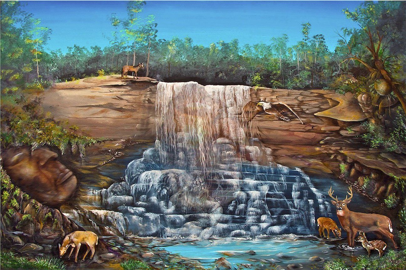 "Faces Waterfall" by Virginia Bond