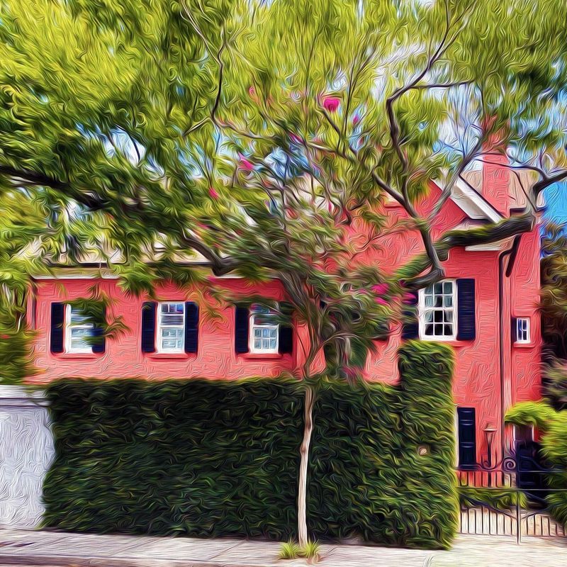 "Pretty in Pink" by Mark Baratto