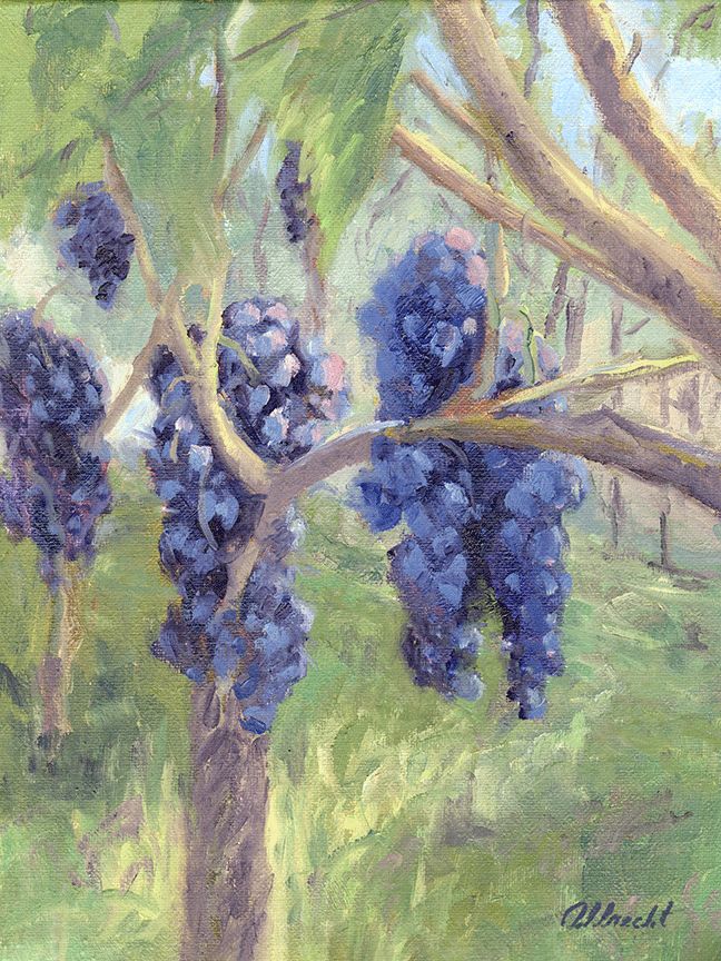 "Grapes Galore" by John Albrecht