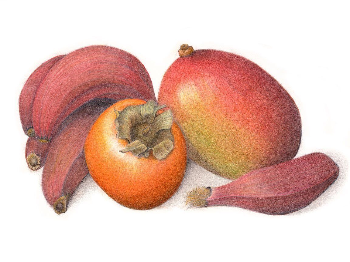 "Persimmon-Mango and Plantains" by Denise Robinson