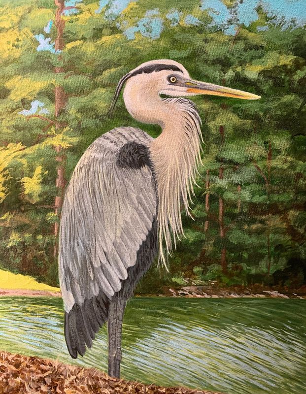 "Heron Point of View" by Denise Robinson