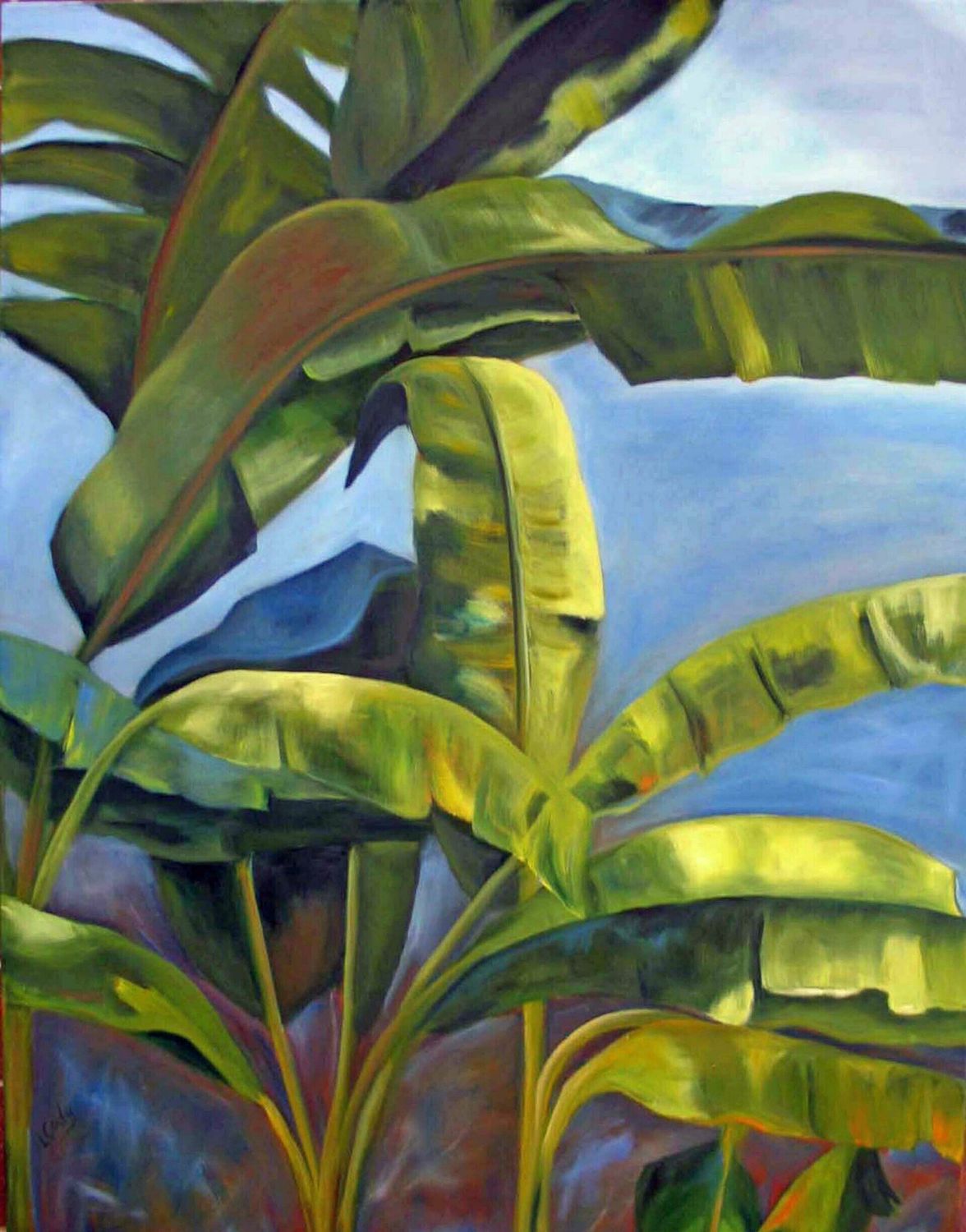 "Yes We Have Bananas"