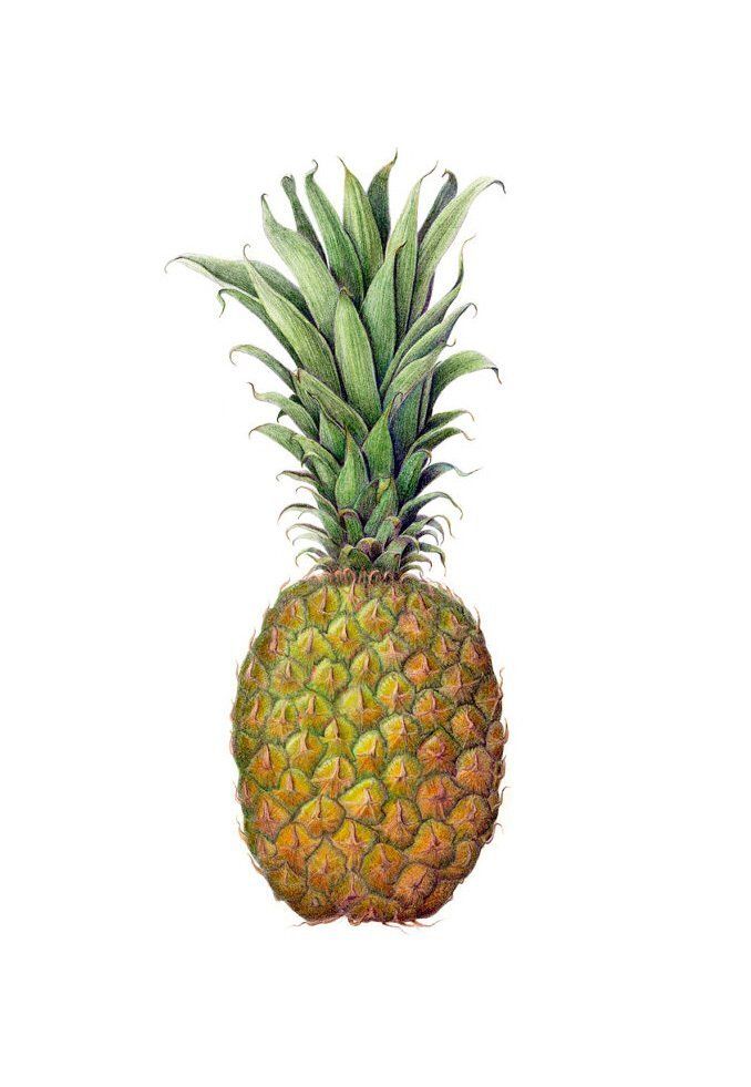 "Pineapple Welcome" by Denise Robinson