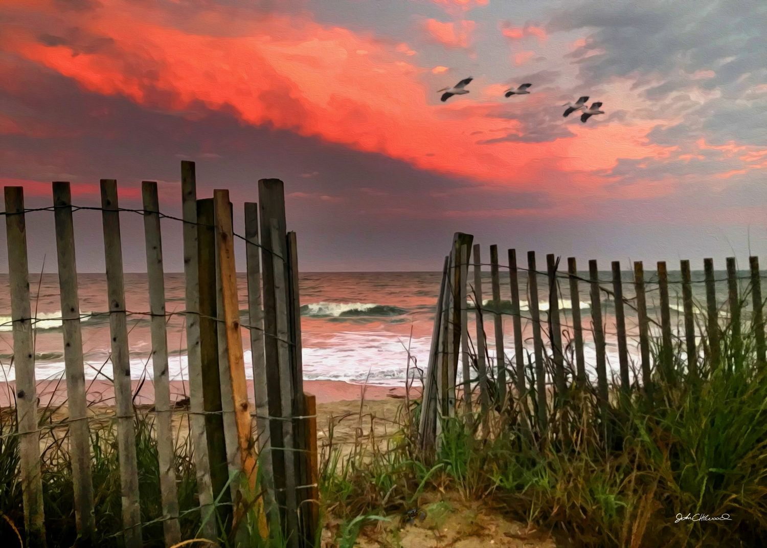 "Sunset Flight at Edisto"